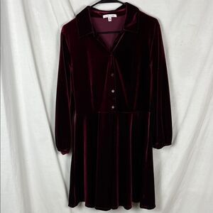 City Vibe Maroon Velvet Long Sleeve A Line Dress
